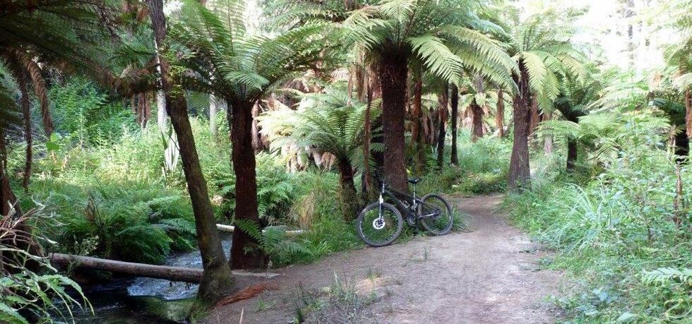 Titel ohne Beschreibung